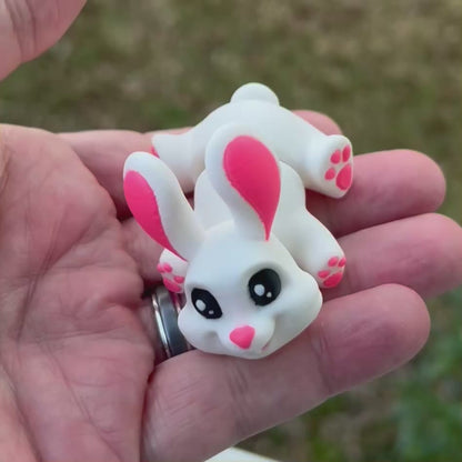 Snow White Bunny - 3d Printed Fidget Toy